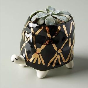 Gail CC for Anthropologie Flecked Fauna Turtle Planter